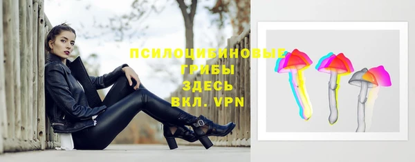 винт Арсеньев