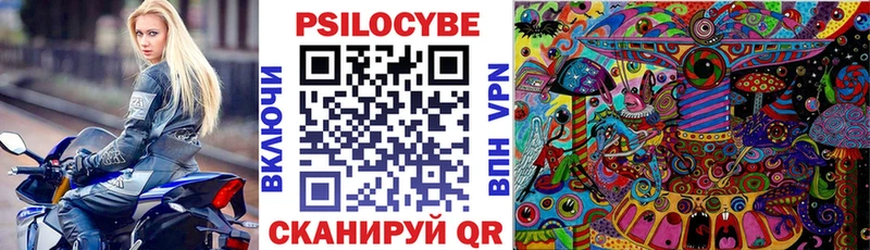 ОМГ ОМГ рабочий сайт Свободный Псилоцибиновые грибы Psilocybine cubensis