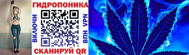 Шишки марихуана план  Свободный 